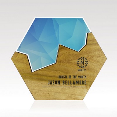 Small Hexagon Edge Puzzle Award